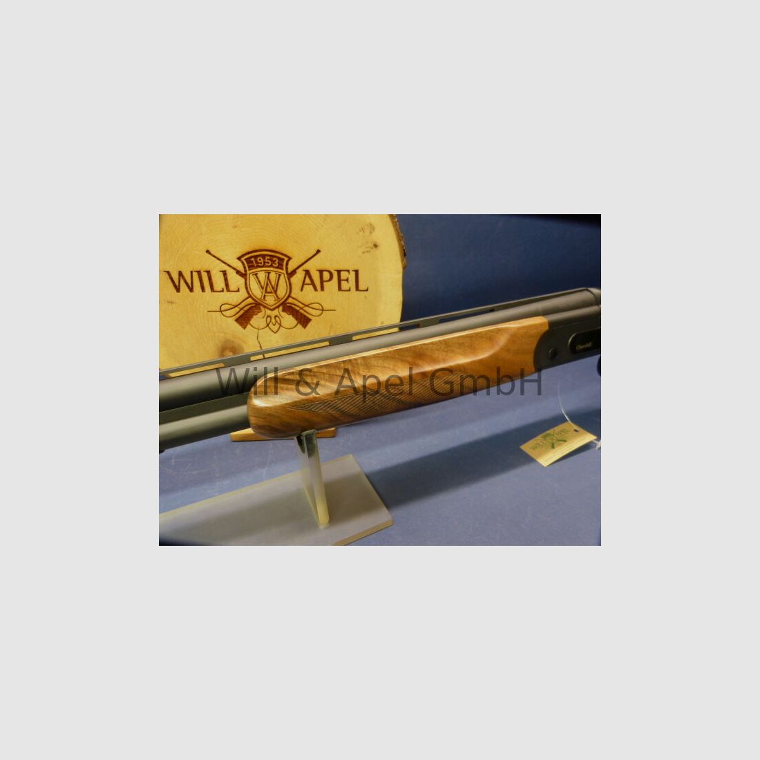 Akkar Churchill Lady Black