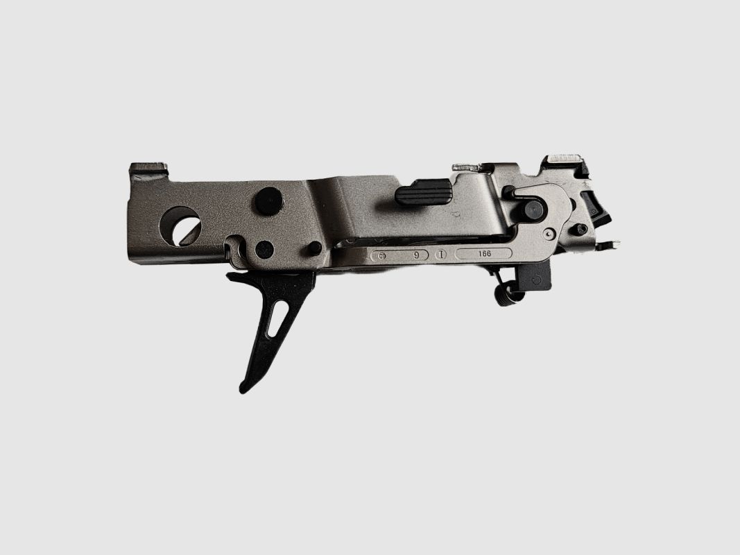SIG SAUER P320 UNITÉ DE CONTRÔLE DE FEU SQUELETTE DROITE
