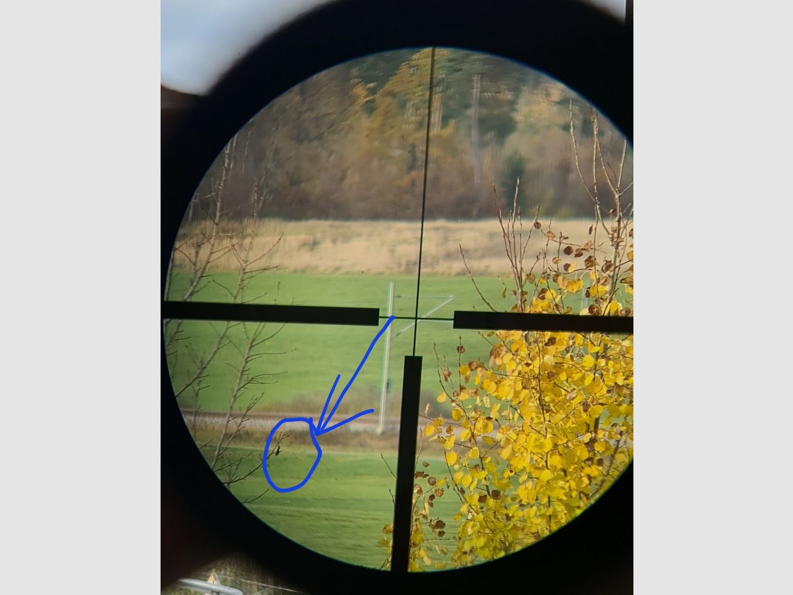 Jumelle de chasse Frankonia 8x56