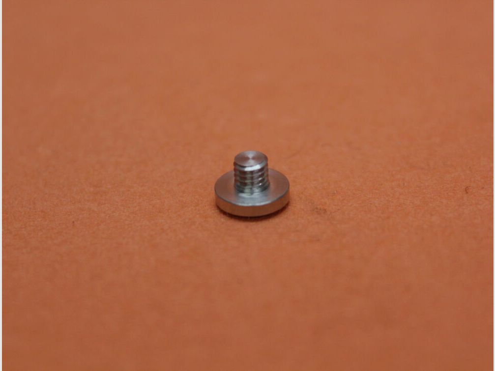 <SIG Sauer SIG Sauer X-LINE: 1 pieza tornillo de empuñadura Torx plateado NIRO (70001450)