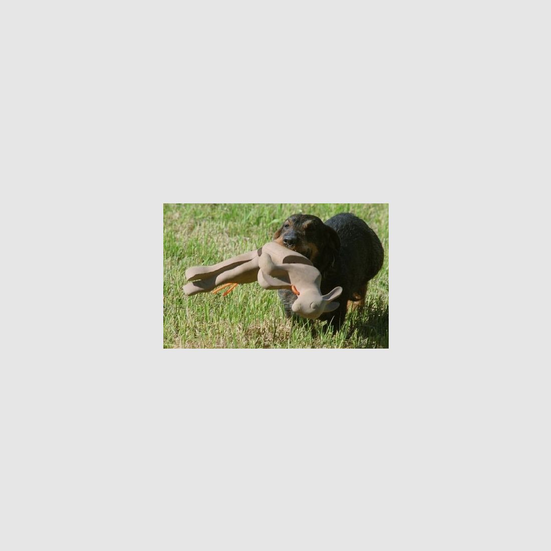 Dummy de rapport de chasse / lapin, en PU (polyuréthane), 750g, image 3 sur 3