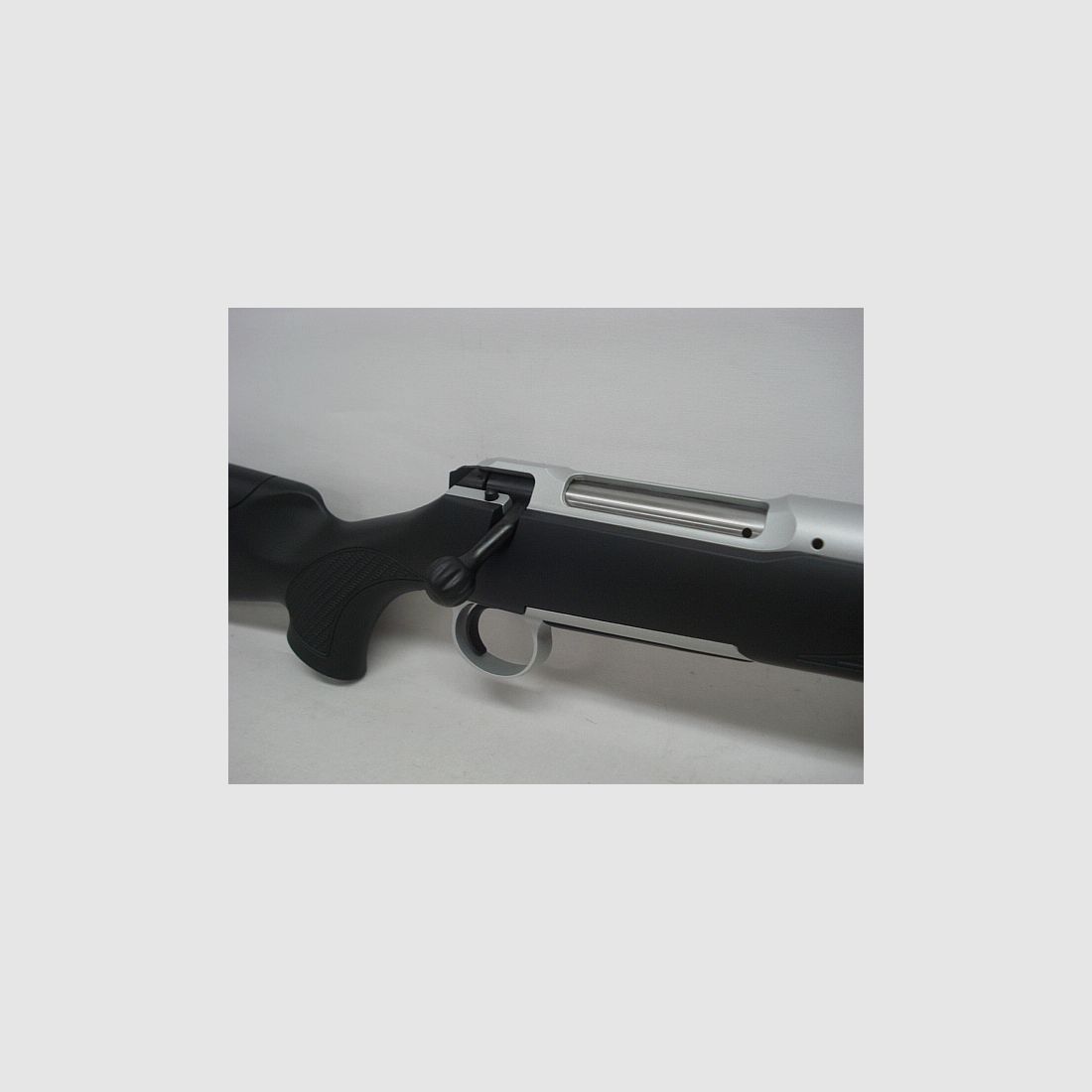101 Silver XTA LL56 & MG oV - .30-06Spring, silver