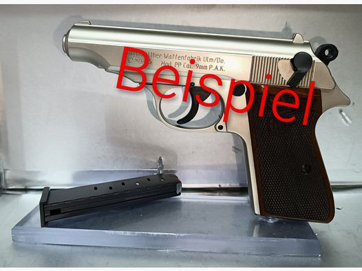 6xPistol holder (plexiglass)