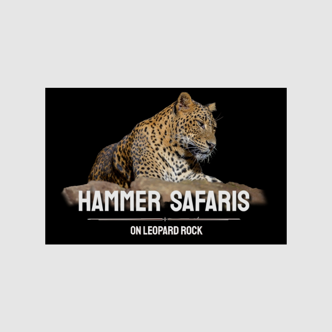 Jagen in Südafrika - Westkap Hammer Safaris