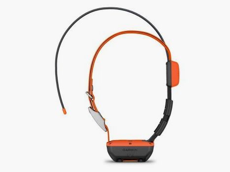 GARMIN COLLARE GPS T20K