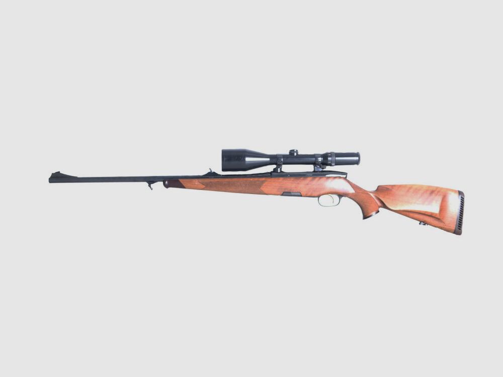 Steyr Luxus