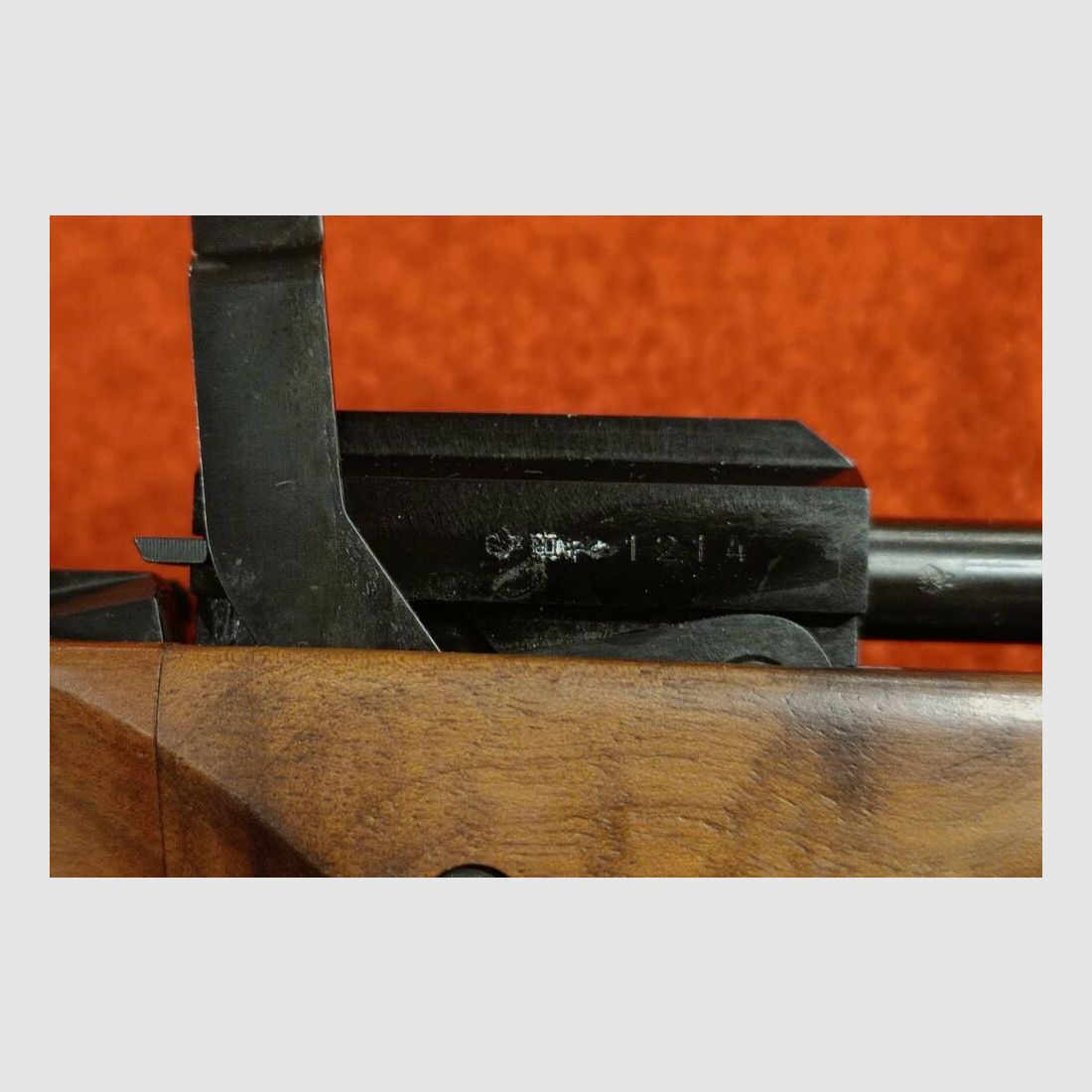 Walther FP .22lr