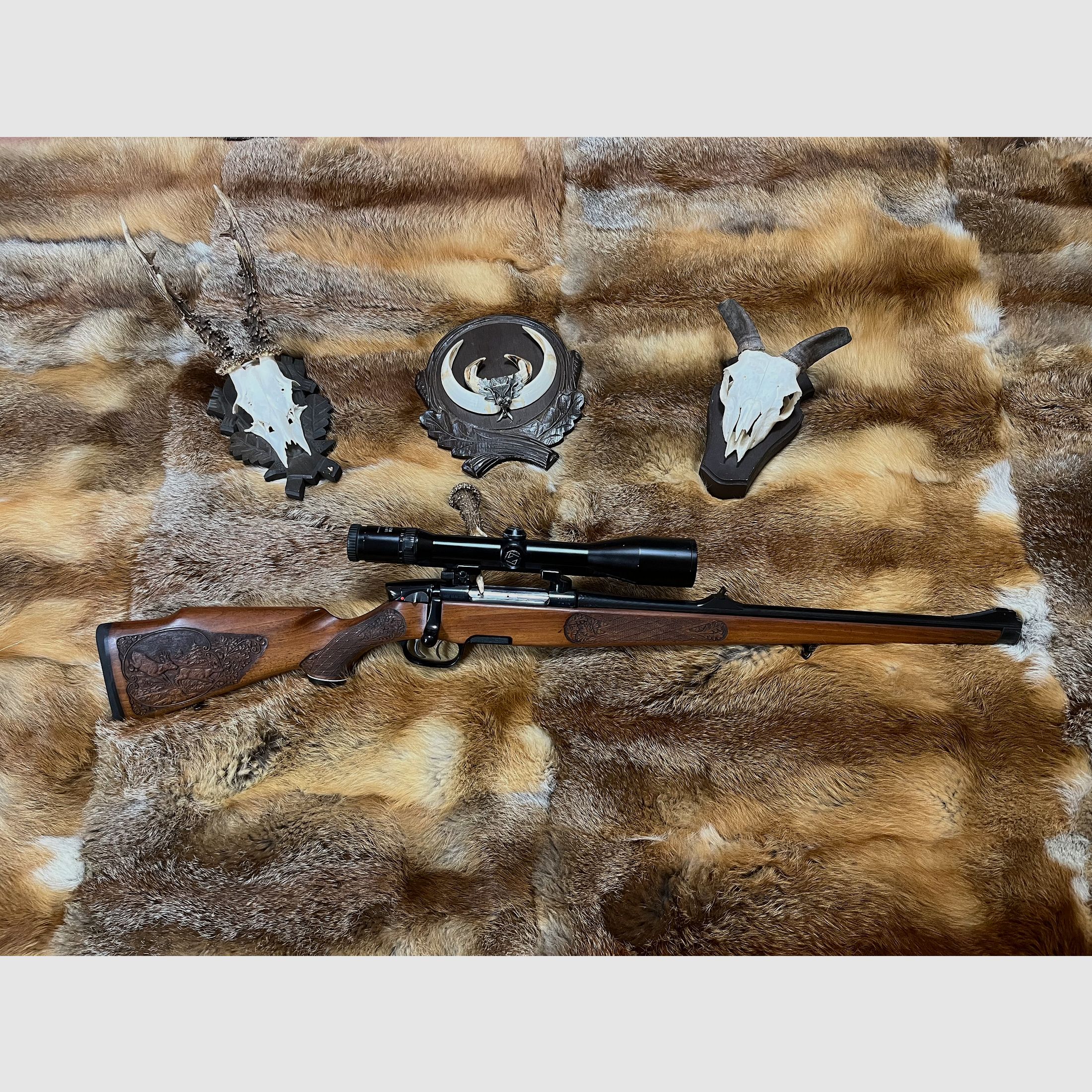 Steyr -Mannlicher Mod.M