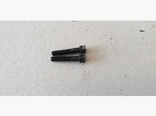 PAKET MIT ZWEI MONTAGESCHRAUBEN FÜR PERFEX-RÖHRE