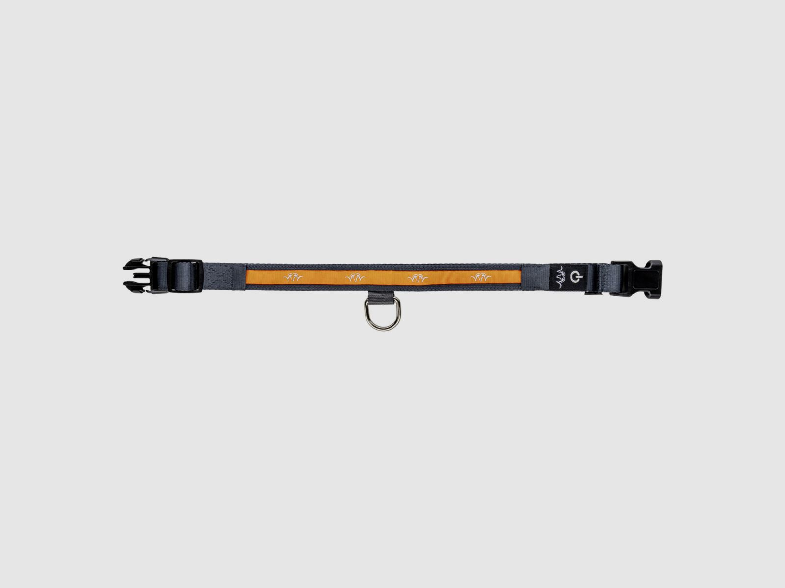 BLASER Halsband LED