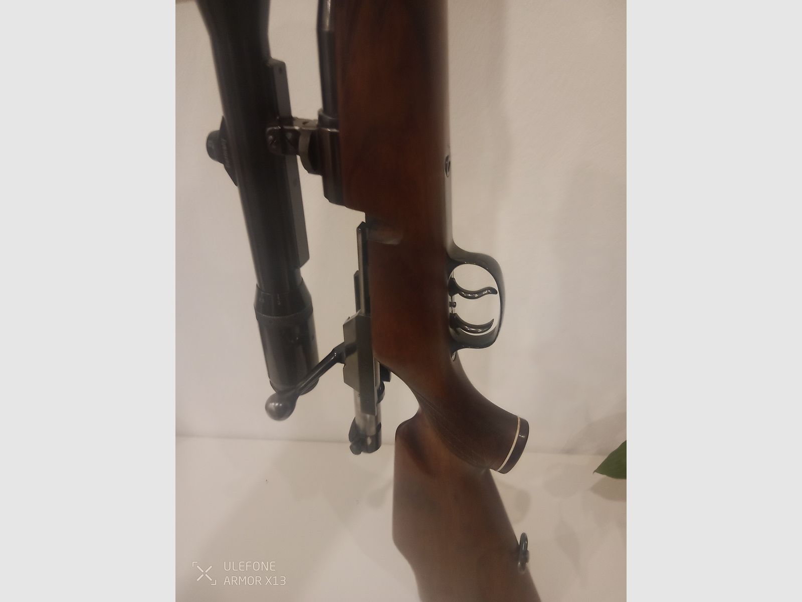 Mauser 66