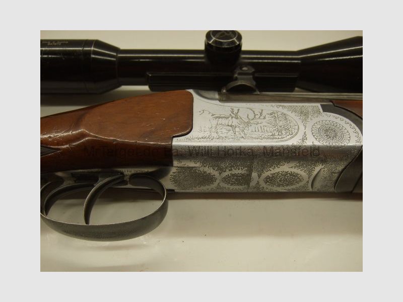 Sabattii con ZF SWAROVSKI 6x42 retículo 1