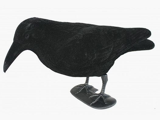 LOCKKRÄHE beflockt