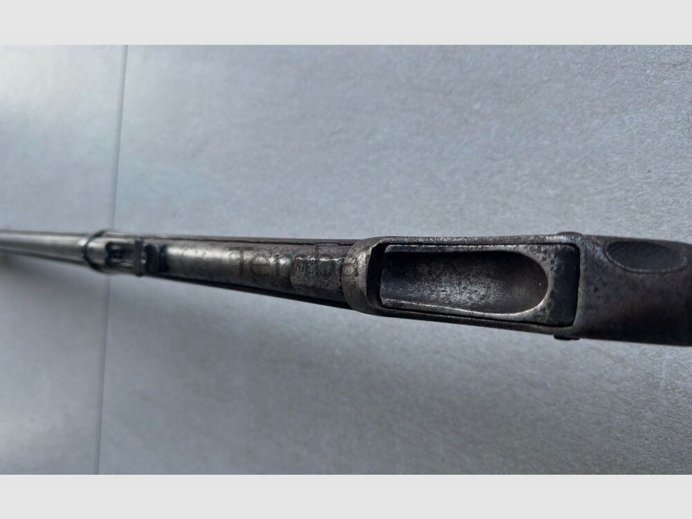 Enfield Bj. 1875 (vermutlich) .445SuperMag