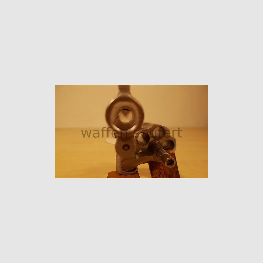 Smith & Wesson M60 RVS