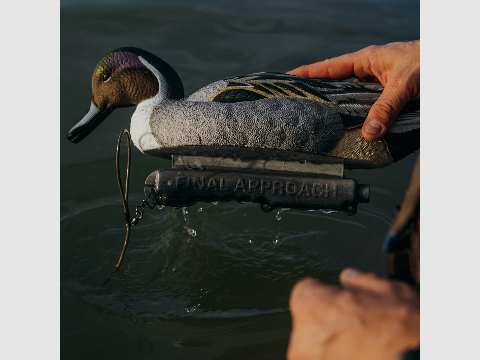 LIVE Pintail Floaters – 6er Pack, Bild 3 von 9