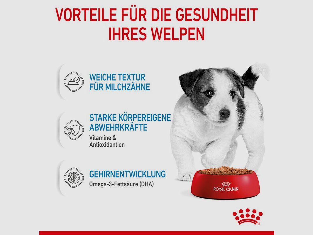 ROYAL CANIN Kleine Hunde Nassfutter Welpen bis zum 10. Monat 12x85 g