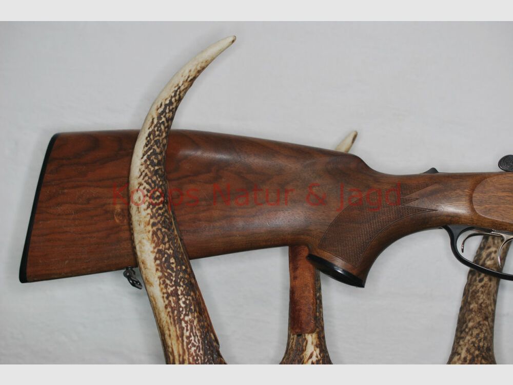 Blaser BBF 95