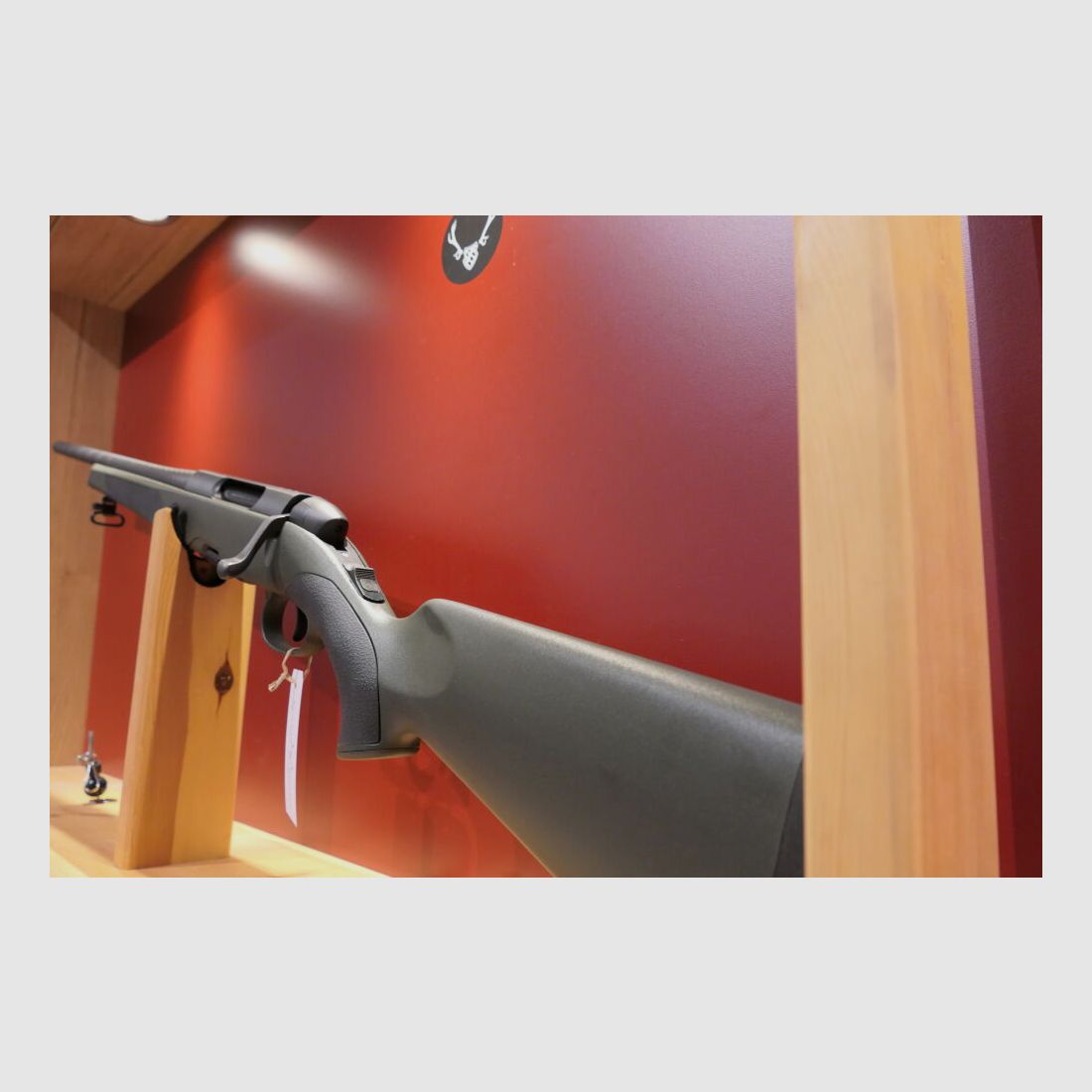 Steyr Arms SM12 SX Linksausführung