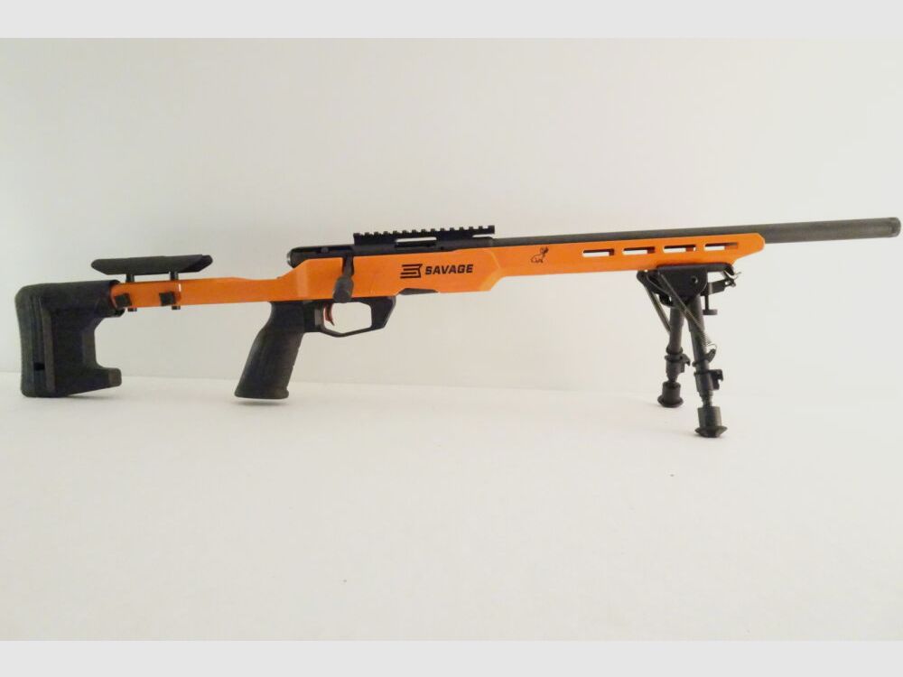 Savage B22