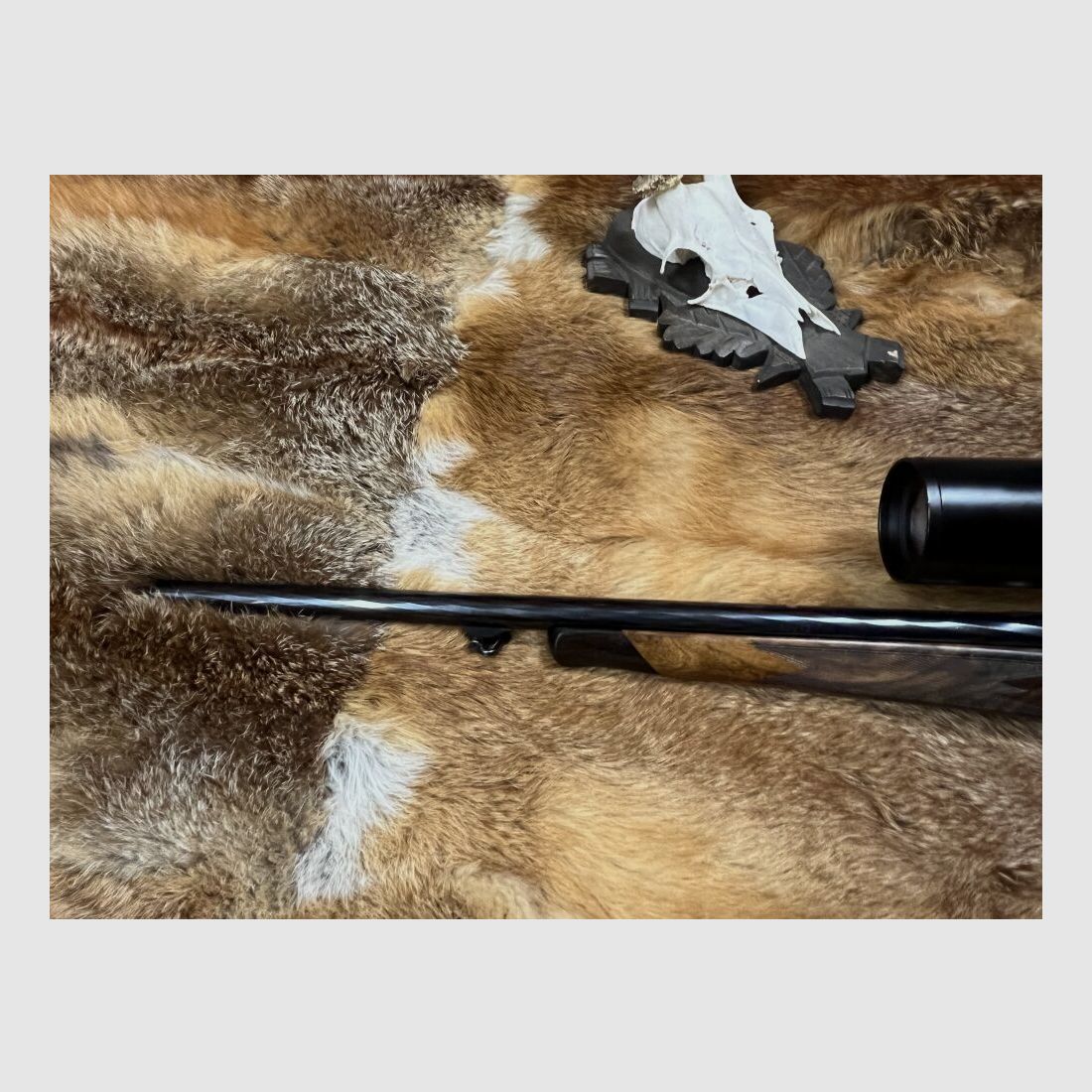 Steyr Mannlicher SBS