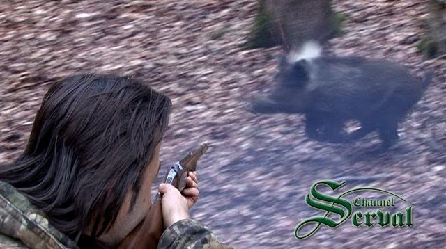 Wild Boar hunt- The Perfect Shot - best shot