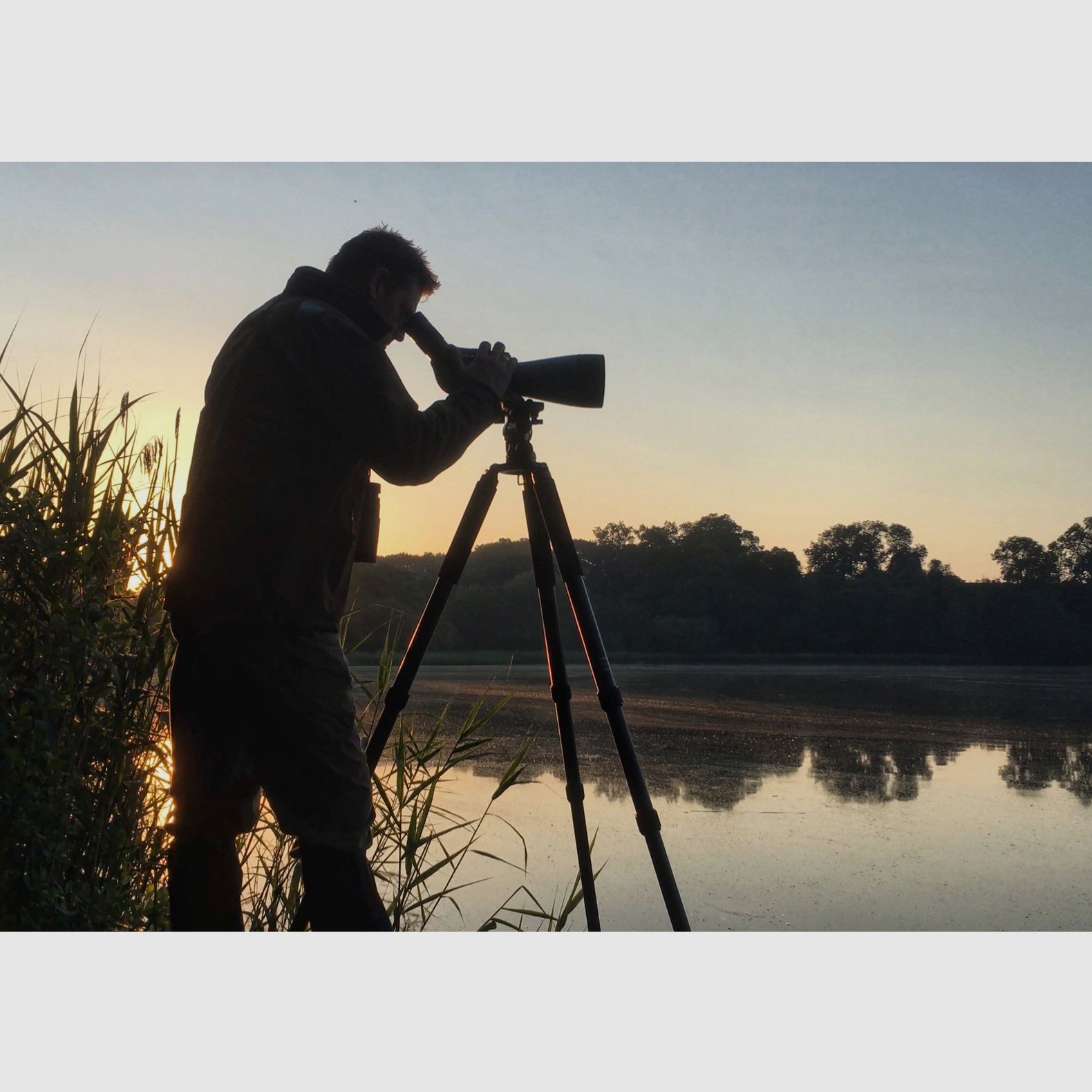 KOWA 12264 TSN-99A PROMINAR SCHRÄGEINBLICK 30-70X Zoom Set mit Weitwinkelokular