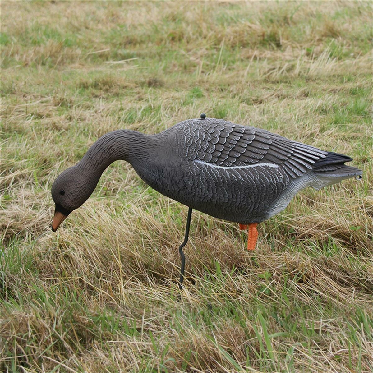 Decoy seed geese