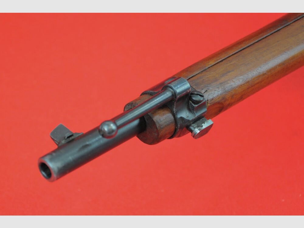 Steyr M1895