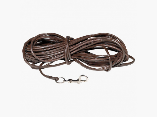 the Lake Passion sweat strap |