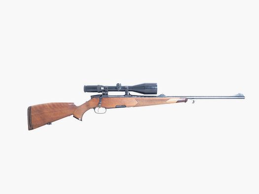 Steyr Luksus