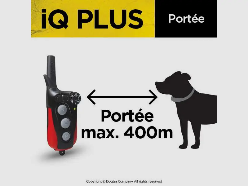 IQ Plus, image 4 of 7