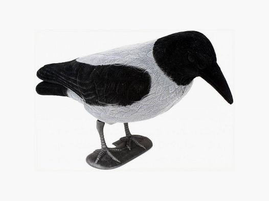 Fluffed crow stamp with closed wings