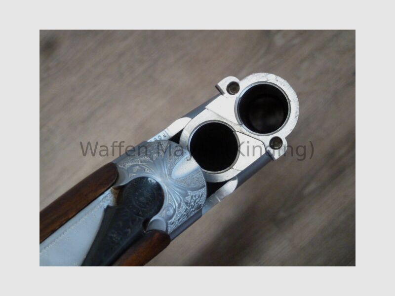Sauer- Beretta S56E