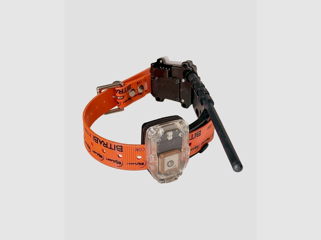 BITRABI KIT MITO 5100 PRO COLLARE + PALMARE BS103, afbeelding 7 van 7