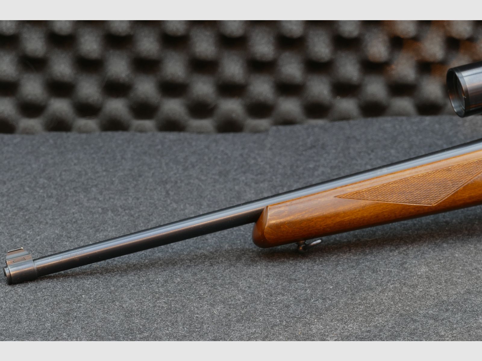Ruger 10/22 DSP "Sporter", semi-automatic, self-loading rifle, .22lr
