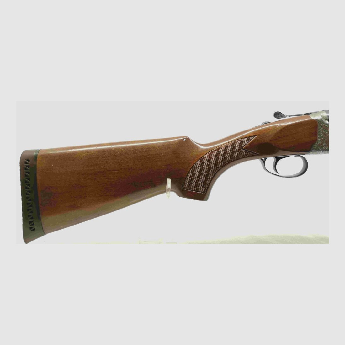 Kettner Campione