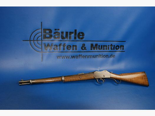 Enfield Martini-Henry .577/.450Martini
