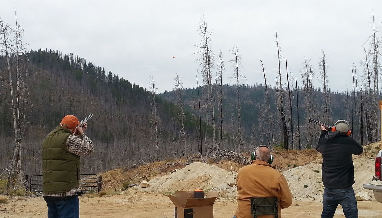 The Best Sporting Shotguns