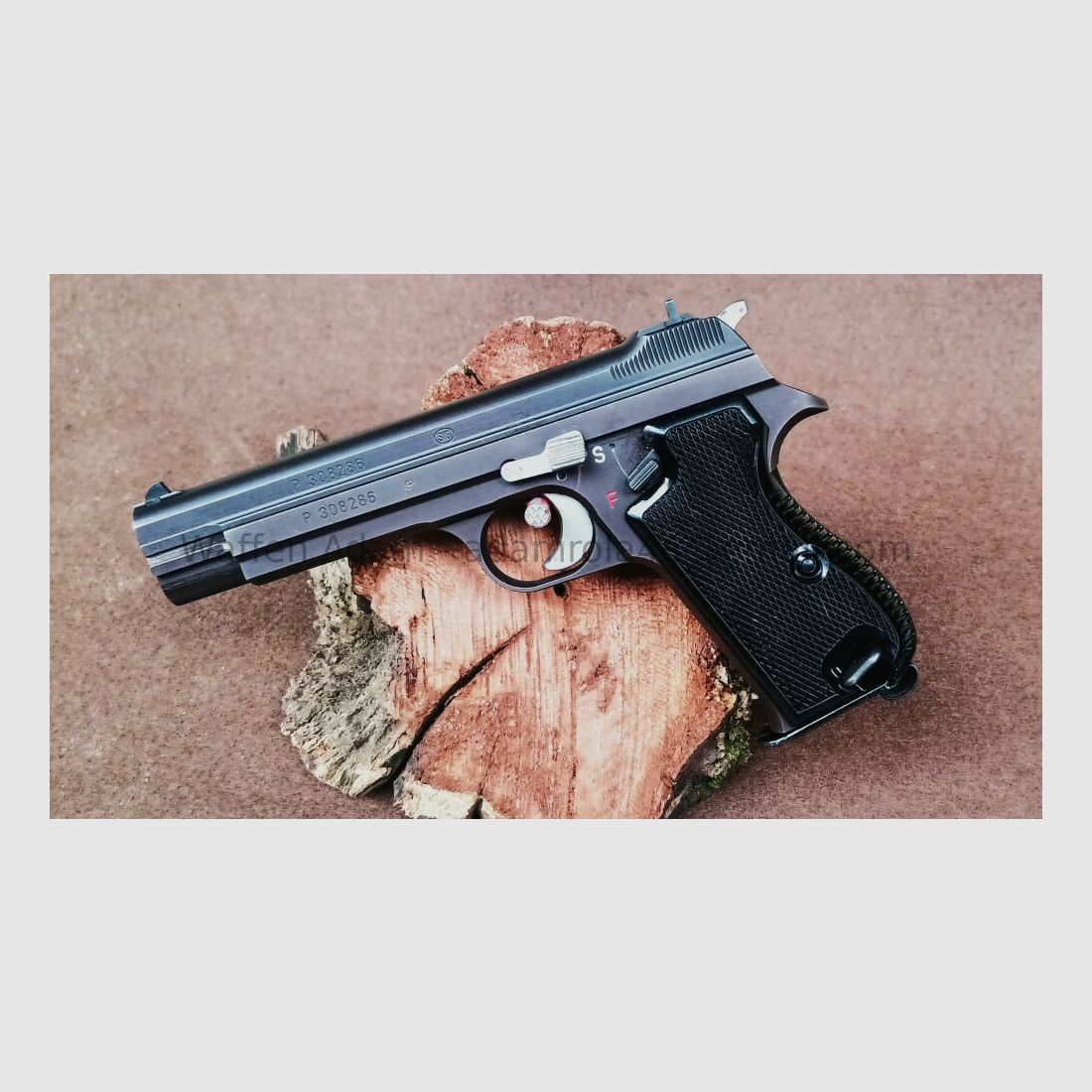 Swiss Industrial Company SIG 210