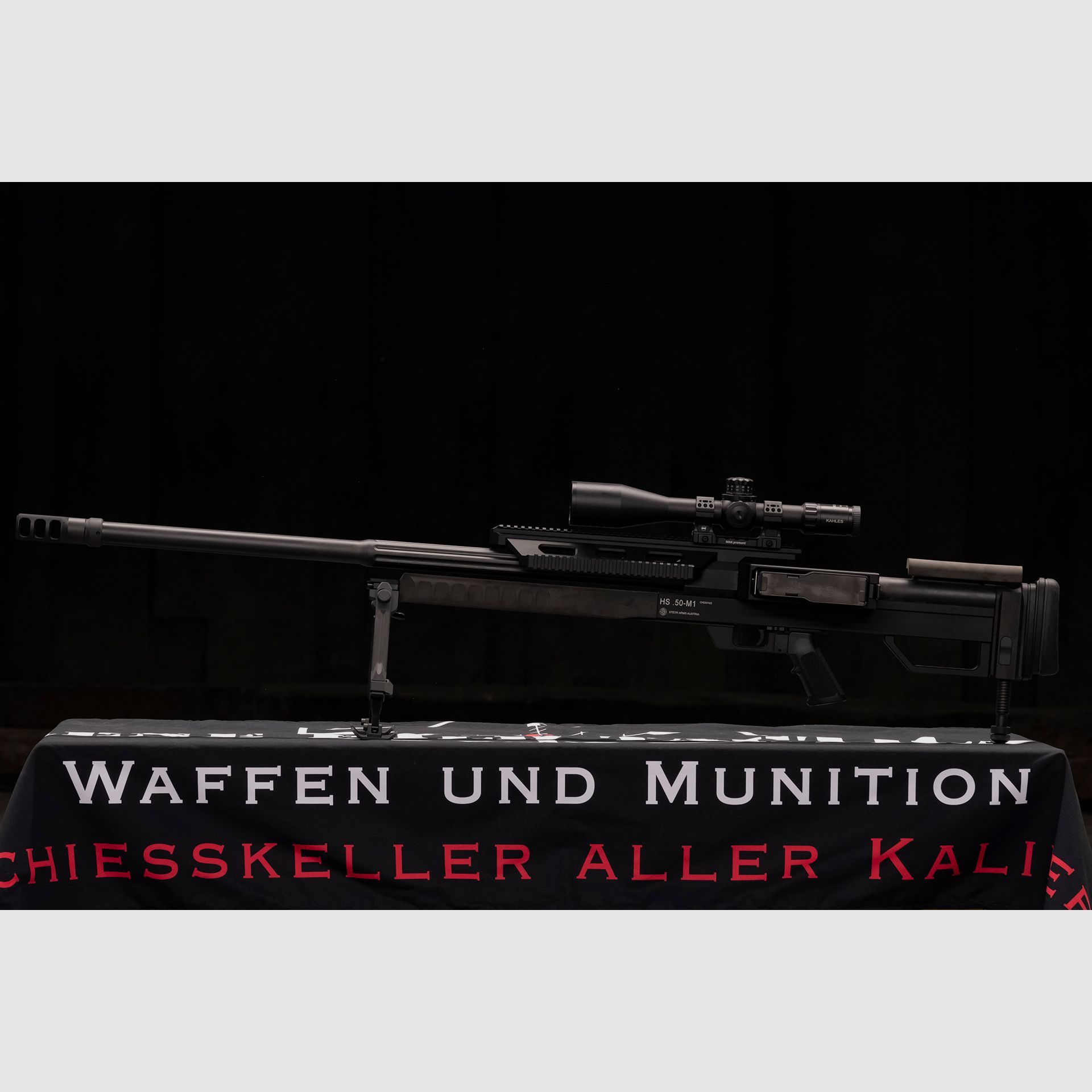Steyr HS .50 M1, Bild 2 von 10