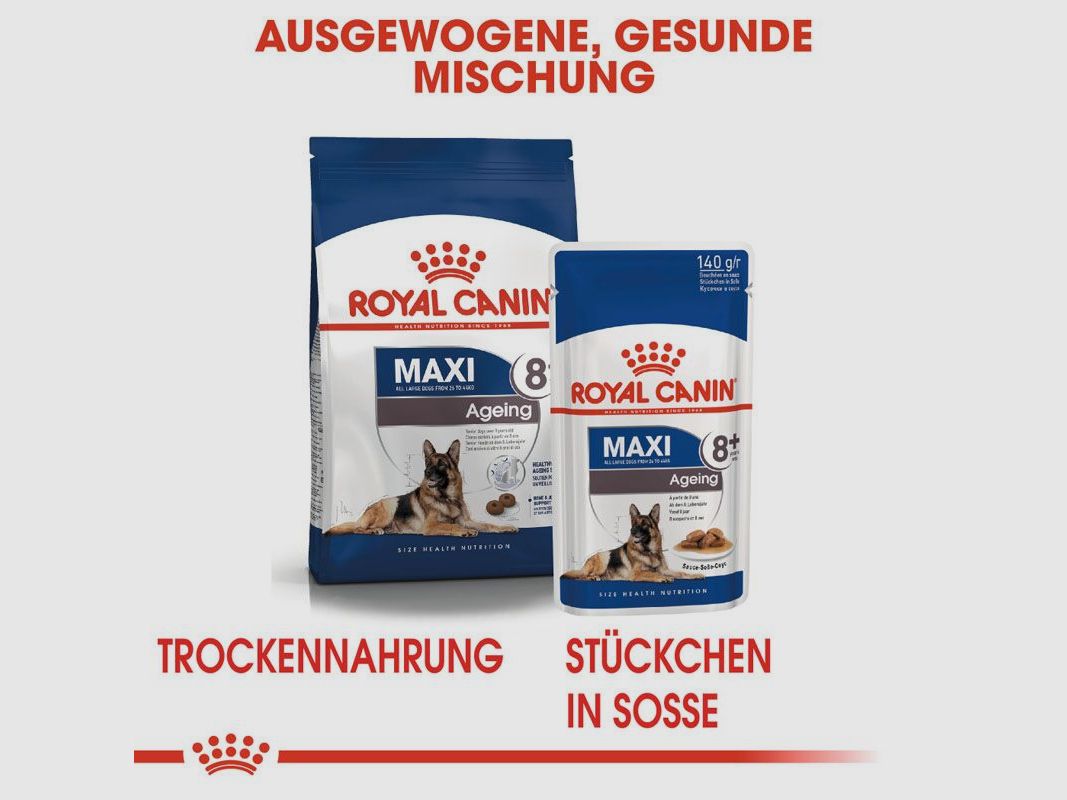 ROYAL CANIN Ältere Große Hunde Nassfutter Maxi Ageing 8+ 10x140 g