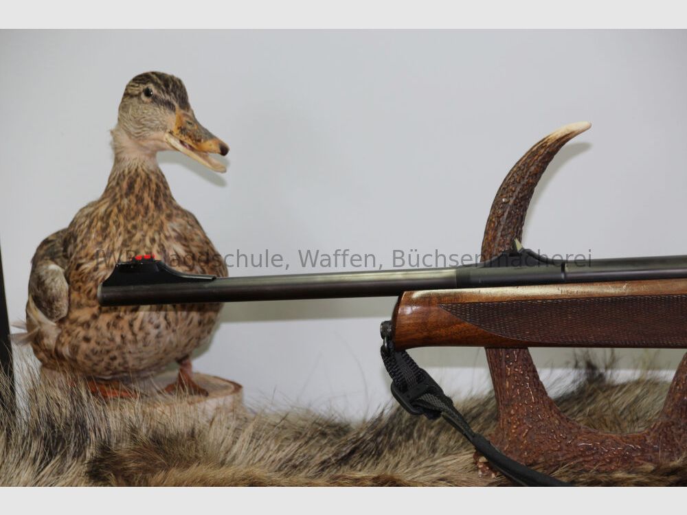 Sauer 303 with Aimpoint 5000 303 Classic