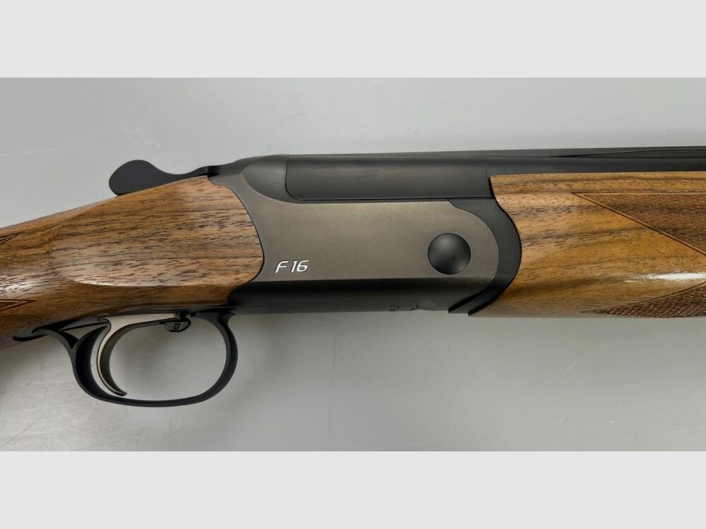 Blaser F16 Game