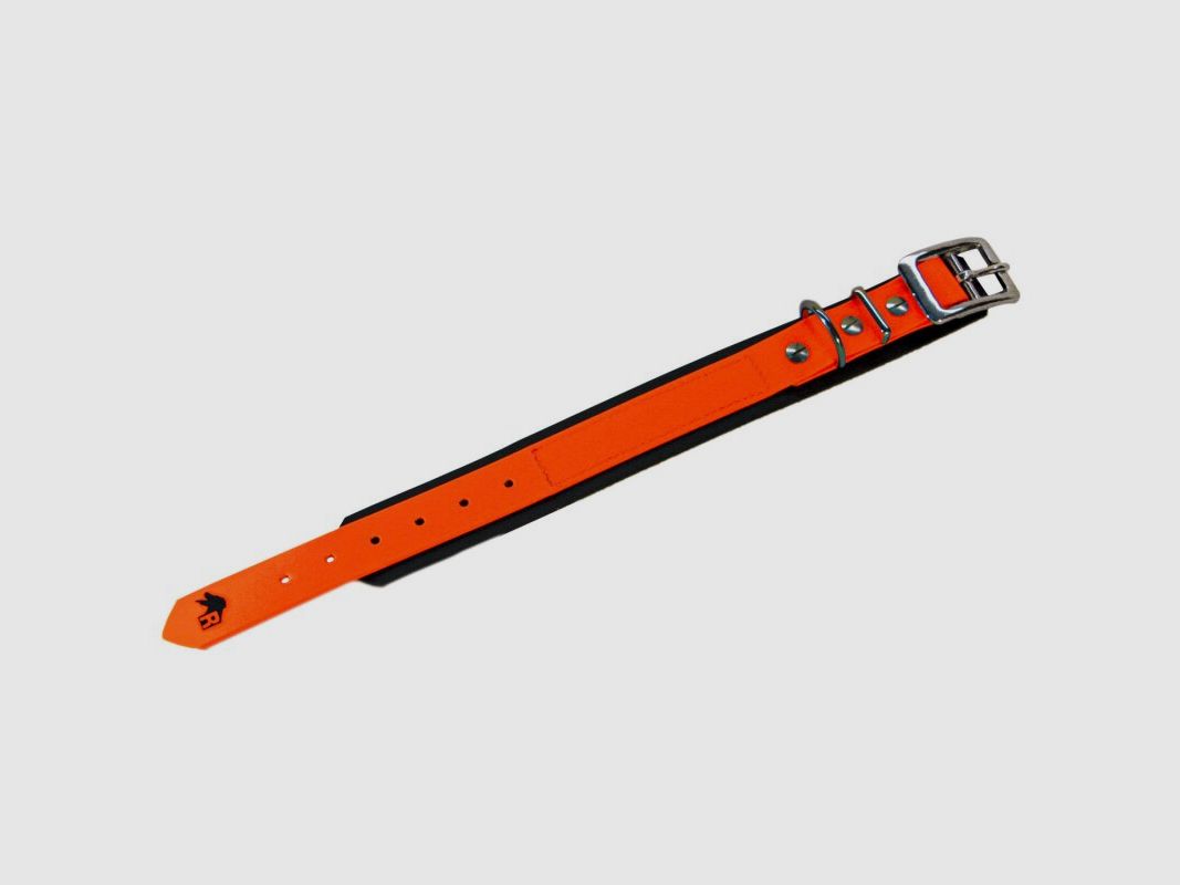 Biothane Halsband unterlegt 35-45 cm Halsumfang
