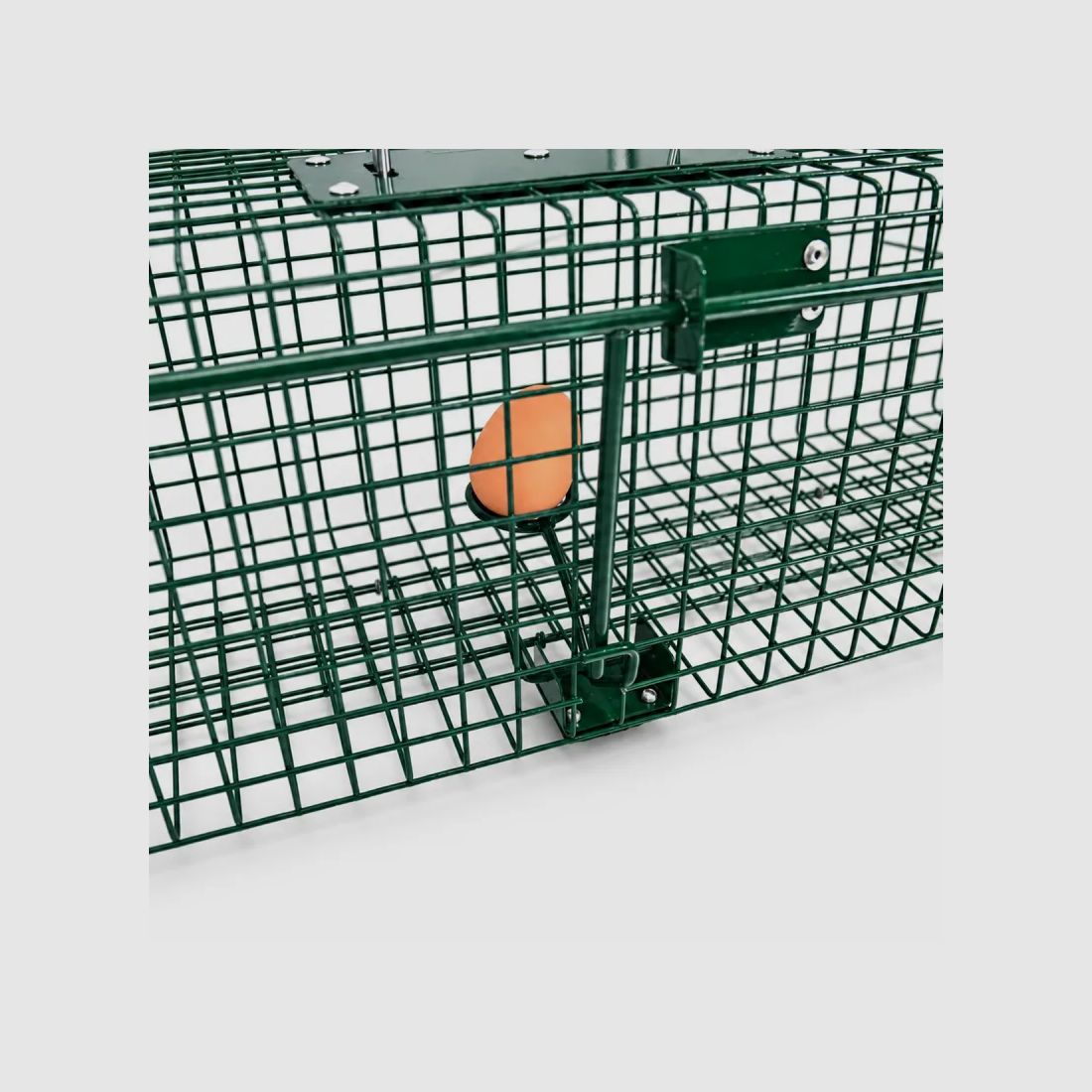 Piège à œuf anti fouines rats 75 x 18 x 18 cm, image 4 sur 8