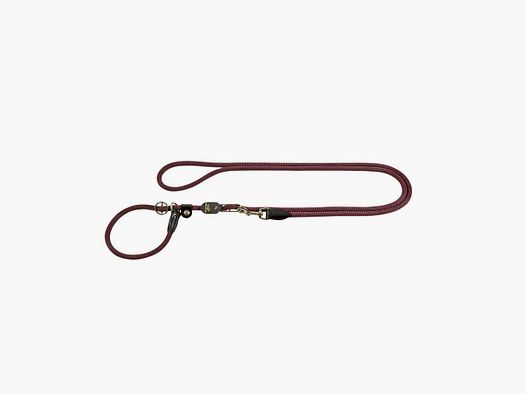 Laisse pour Chien Hubertus Gold