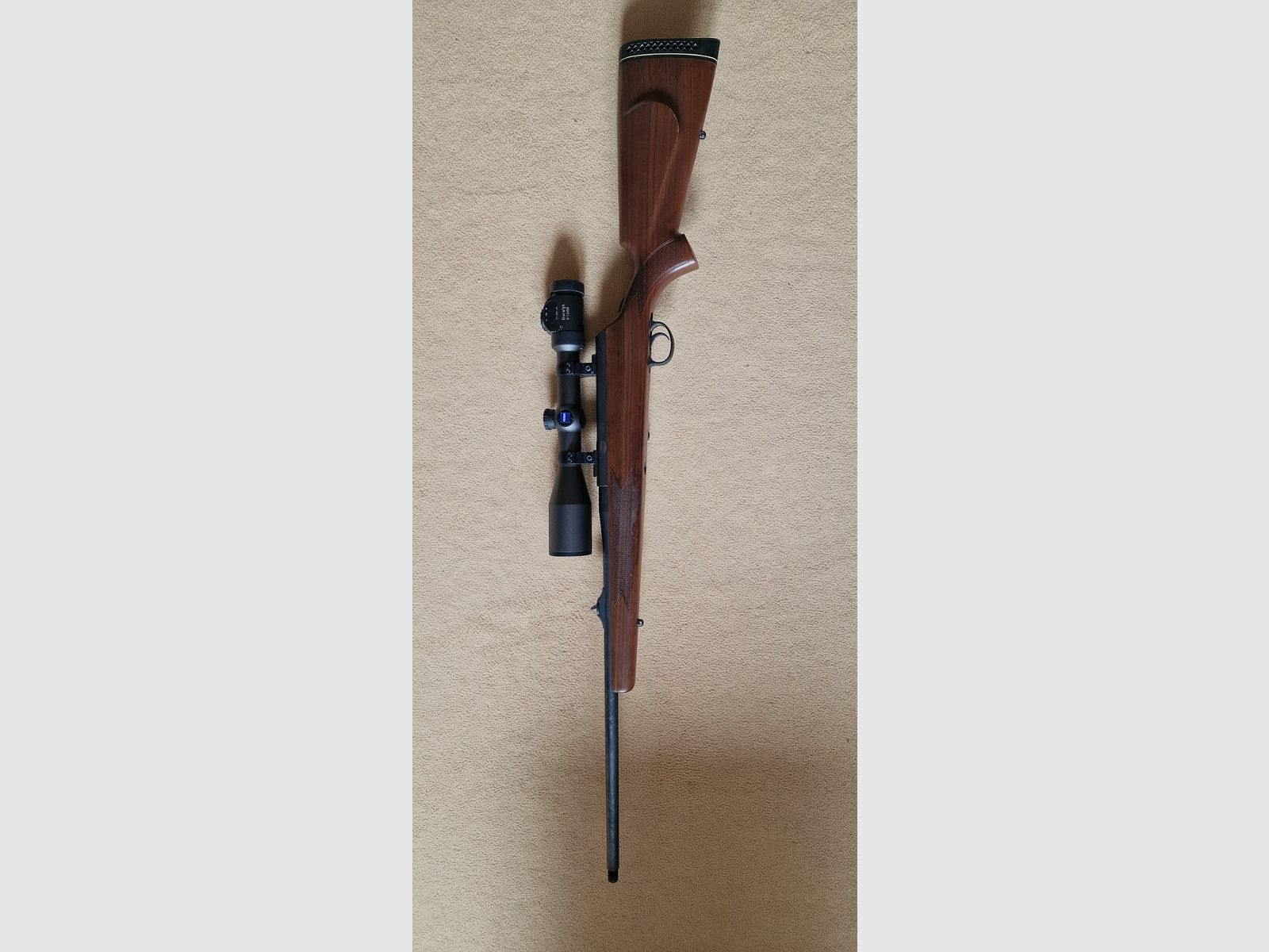 Mauser M96 with optics and silencer