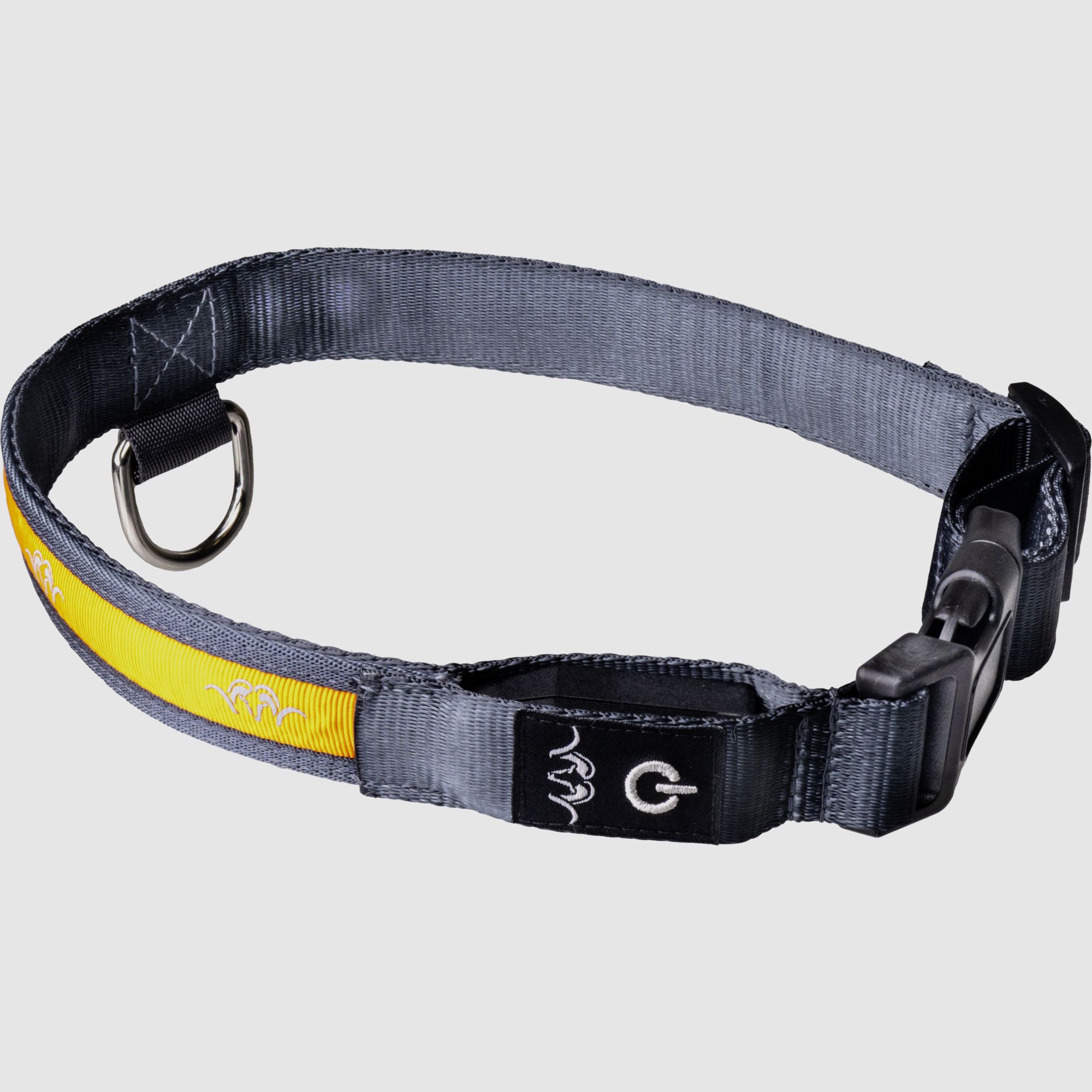 Halsband LED Orange Orange XL