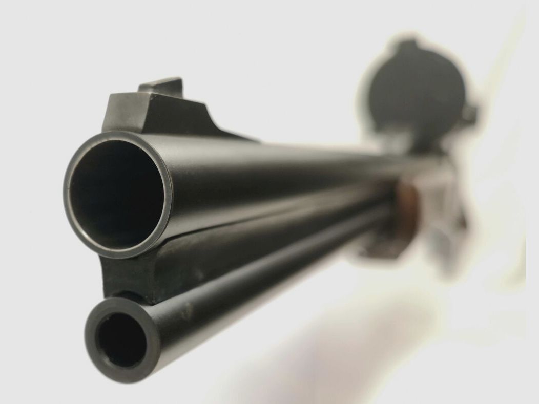 Blaser B95 (BBF 95)
